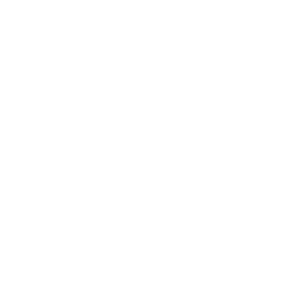 unique-intensity-logo